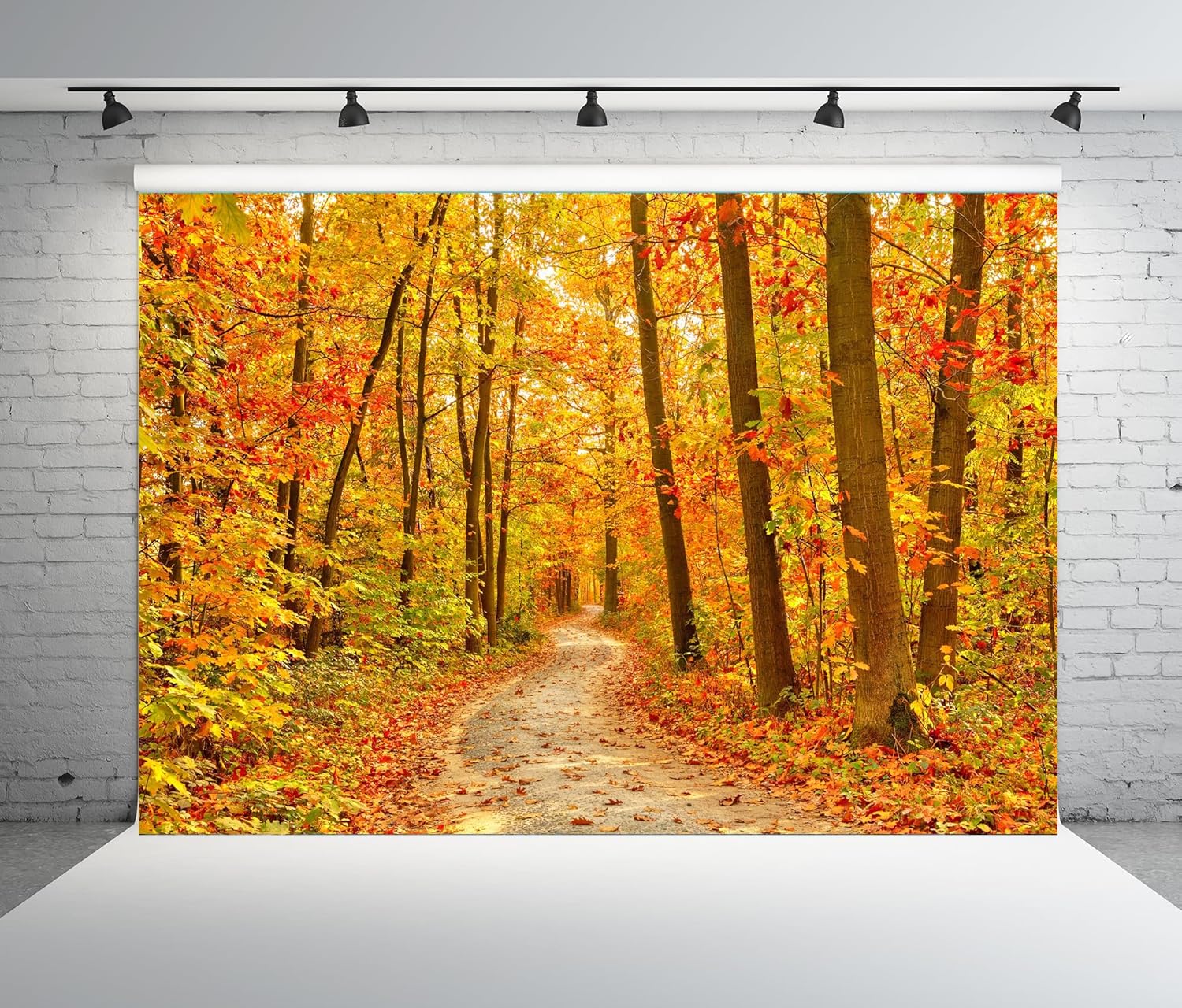 Fall Line Backdrop BELECO Fabric Fall Forest Backdrop Autumn Woodland Fallen Maple Leaves ...